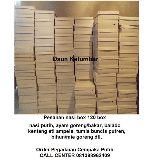 Catering nasi box di Jakarta Pusat
