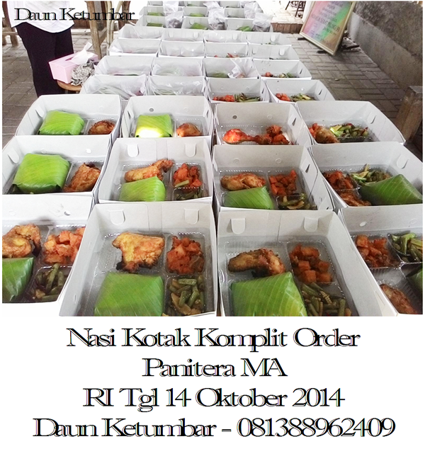 Nasi box di Monas