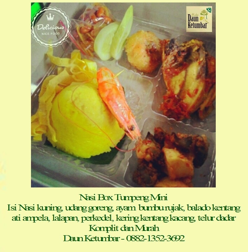 Nasi box seminar di Bintaro