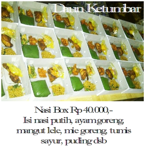 Nasi box enak delivery